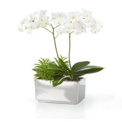 Bestpreis 👍 Scheurich 494/25 Rechteckschale 4T.Mirror Silver; 24,5 Cm X 13,7 Cm X 12,5 Cm, 55165 😉