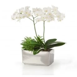 Bestpreis 👍 Scheurich 494/25 Rechteckschale 4T.Mirror Silver; 24,5 Cm X 13,7 Cm X 12,5 Cm, 55165 😉 -Sun Garden Verkäufe unnamed file 357