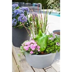 Blitzangebot 🎉 Scheurich Bördy Bewässerung Wasserspender Bewässerungskugel Grün Transparent & Pearl (2, Grün Pearl) 🧨 -Sun Garden Verkäufe unnamed file 415