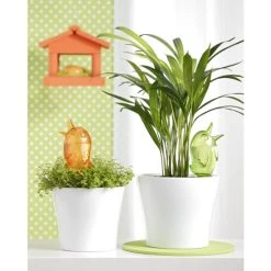 Bester Verkauf 😉 Scheurich Bördy® Bewässerungshilfe M Transparent - Clear Klar 0,22 Liter 220 Ml 🔥 -Sun Garden Verkäufe unnamed file 465