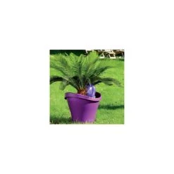 Bester Verkauf 😉 Scheurich Bördy® Bewässerungshilfe M Transparent - Clear Klar 0,22 Liter 220 Ml 🔥 -Sun Garden Verkäufe unnamed file 470