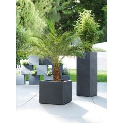 Bestpreis 👍 Scheurich 240/70 Hochgefäß C-Cube High Stony Black - 26 Cm X 26 Cm X 70 Cm; 56502 🧨 -Sun Garden Verkäufe unnamed file 532