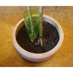 Bestes Angebot 😉 Scheurich 3x Wasserspender M Copa Transparent + Grün ❤️ -Sun Garden Verkäufe unnamed file 544