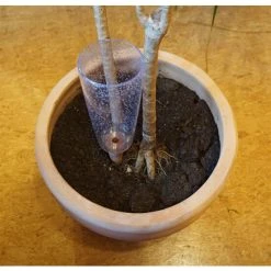 Bestes Angebot 😉 Scheurich 3x Wasserspender M Copa Transparent + Grün ❤️ -Sun Garden Verkäufe unnamed file 546