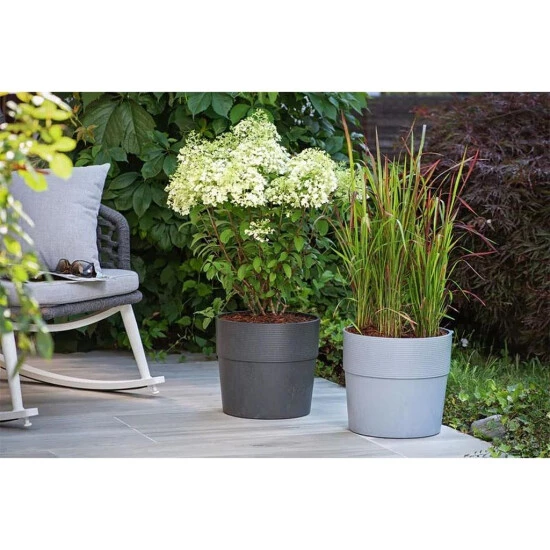 Angebote ⭐ Scheurich Pflanzkübel CARBON 30/266 GROOVE+ 🔥 4 Angebote ⭐ Scheurich Pflanzkübel CARBON 30/266 GROOVE+ 🔥 – Bild 2