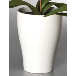 Coupon 🔔 Scheurich Orchideengefäß Serie 608 Weiß Ø 13 Cm ✨